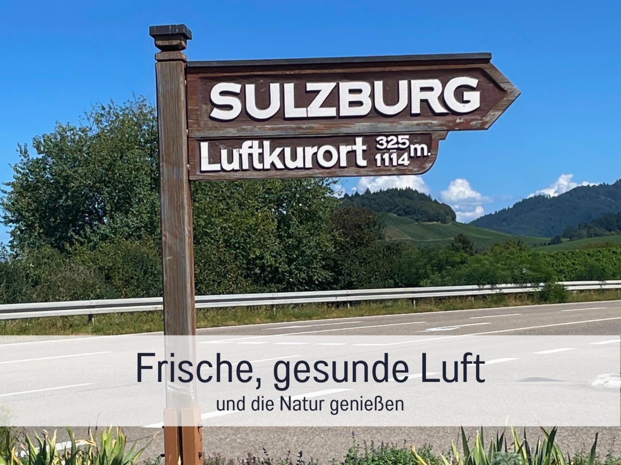 זולצבורג Ferienwohnungen Auszeit Langmatt מראה חיצוני תמונה